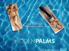 Hidden Palms 
